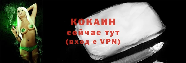 spice Алзамай