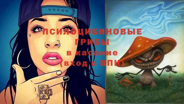 spice Алзамай