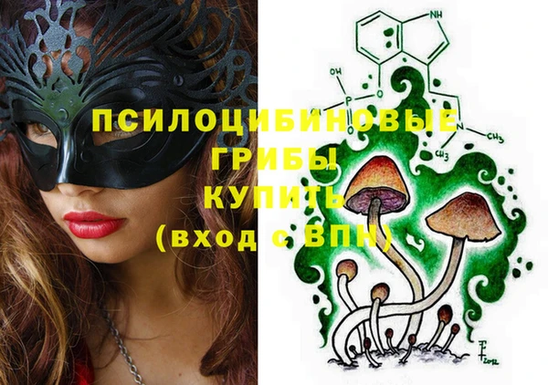 твердый Арсеньев