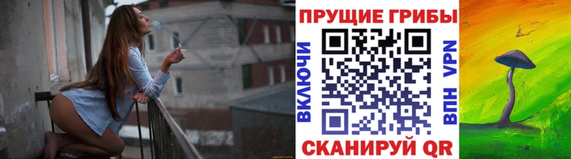 Галлюциногенные грибы прущие грибы  hydra ТОР  Безенчук 